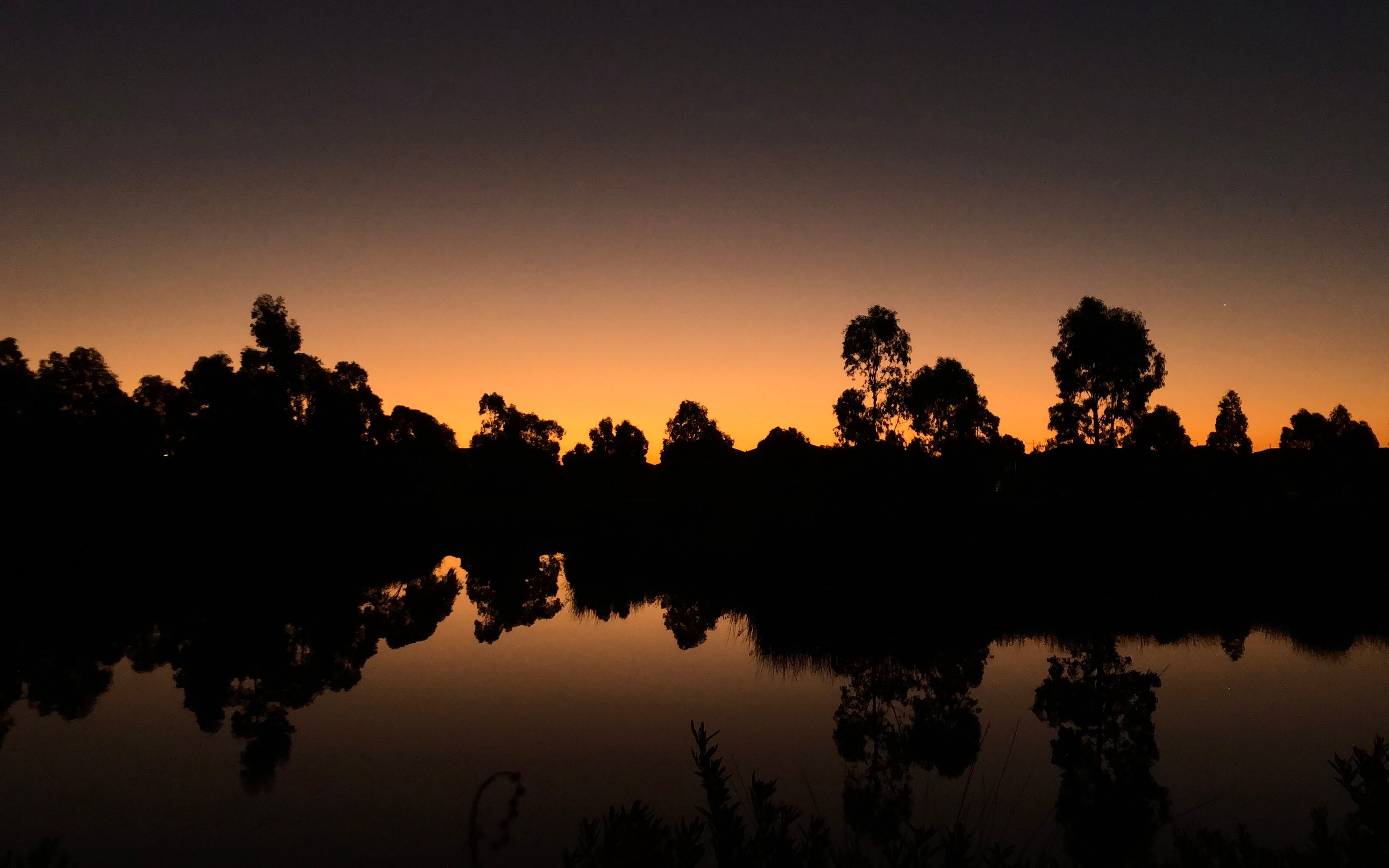 墨尔本留学vlog| 去湖边散散步吧,夜晚的湖景很美,天黑了就回家
