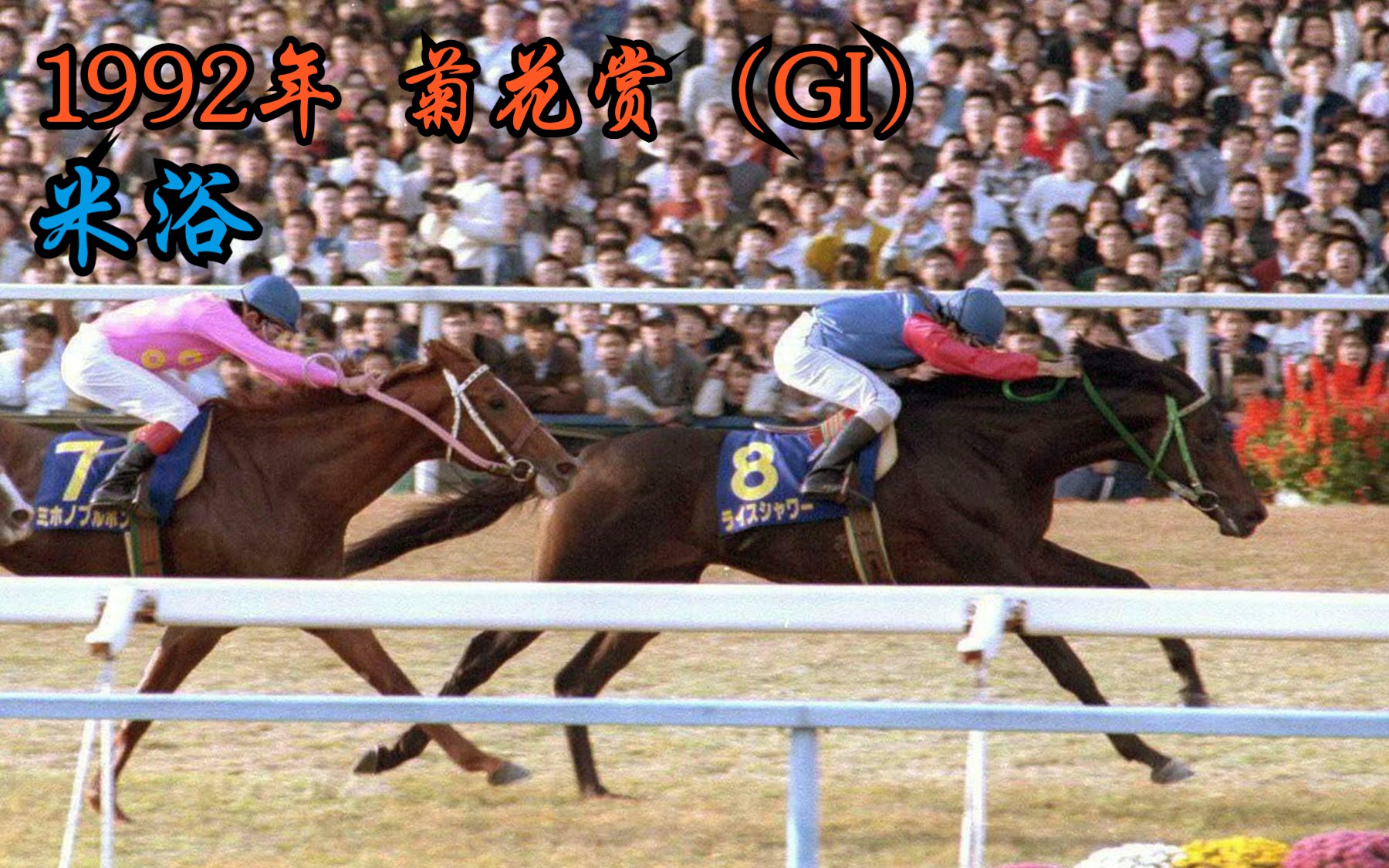 【中字】1992年菊花赏(gi)～米浴 冲线前场内响起了阵阵悲鸣!
