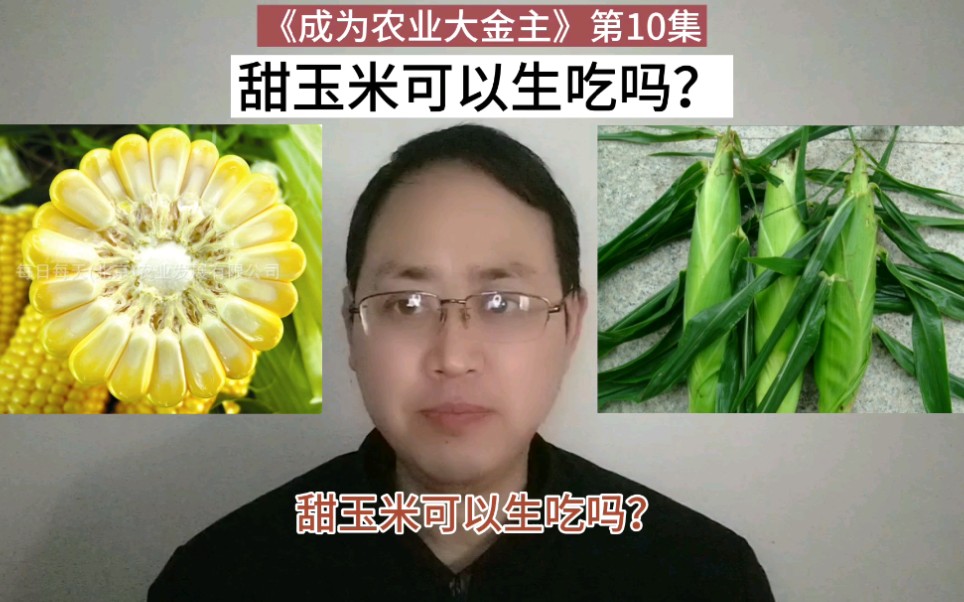 第10集|甜玉米是不是都可以生吃?哔哩哔哩bilibili