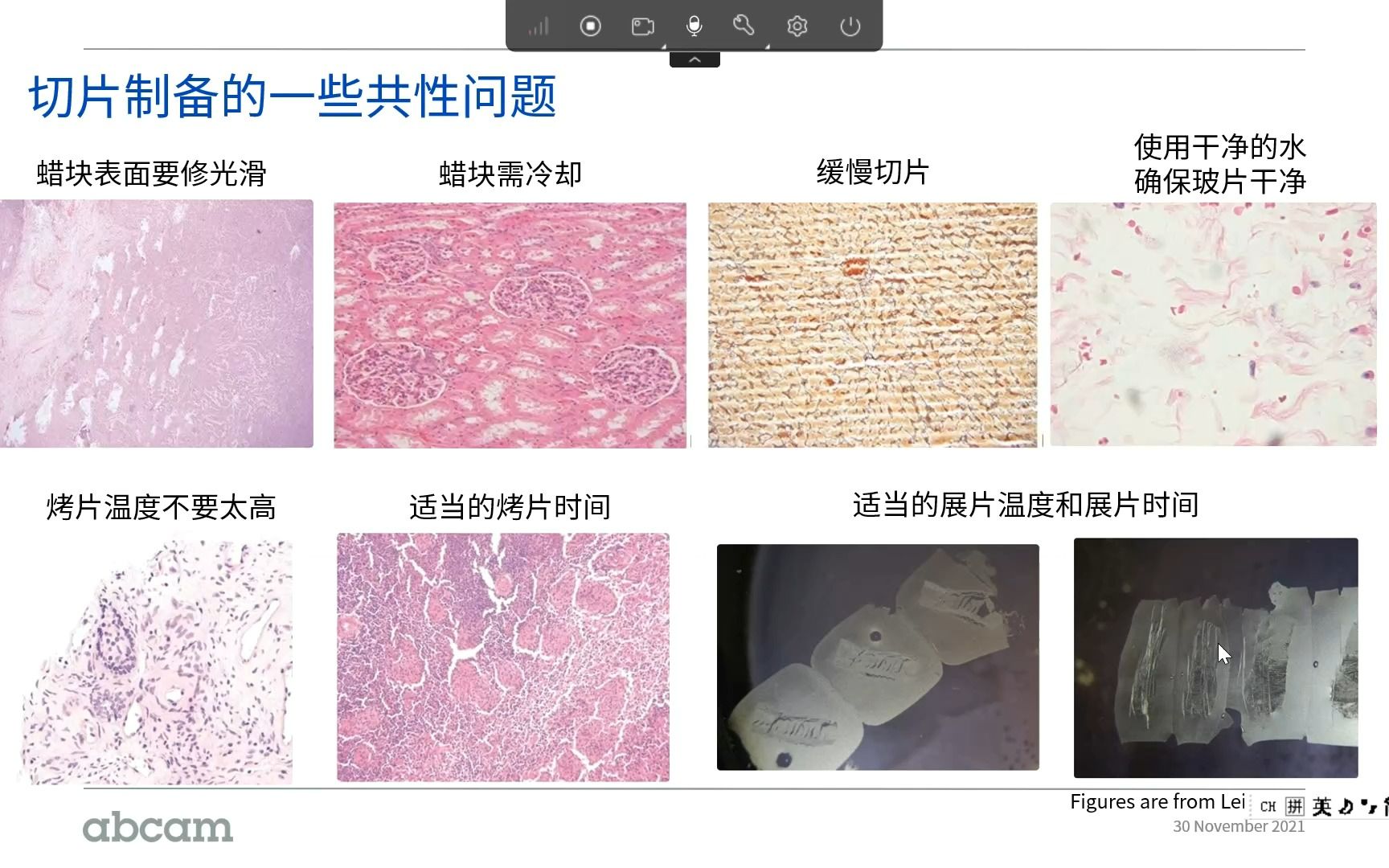 [图]欢迎观看免疫组化/组织免疫荧光技术 - 从切片完成之后到上机检测之前你想了解的一切都在里面