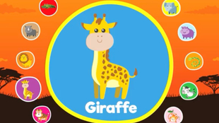 启蒙英语儿童野生动物英语词汇wild Animals English Vocabulary 哔哩哔哩 つロ干杯 Bilibili
