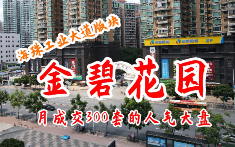 实拍海珠人气大盘金碧花园 每月成交300套 XU老板起家之地!哔哩哔哩bilibili