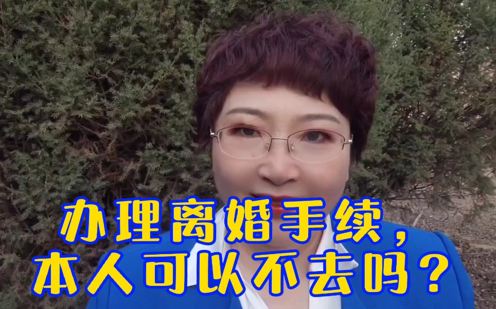 办理离婚手续,本人可以不去吗哔哩哔哩bilibili