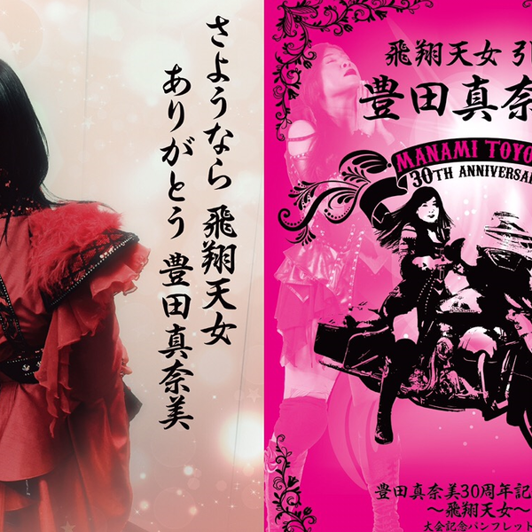 豊田真奈美30周年記念興行～飛翔天女～豊田真奈美引退大会