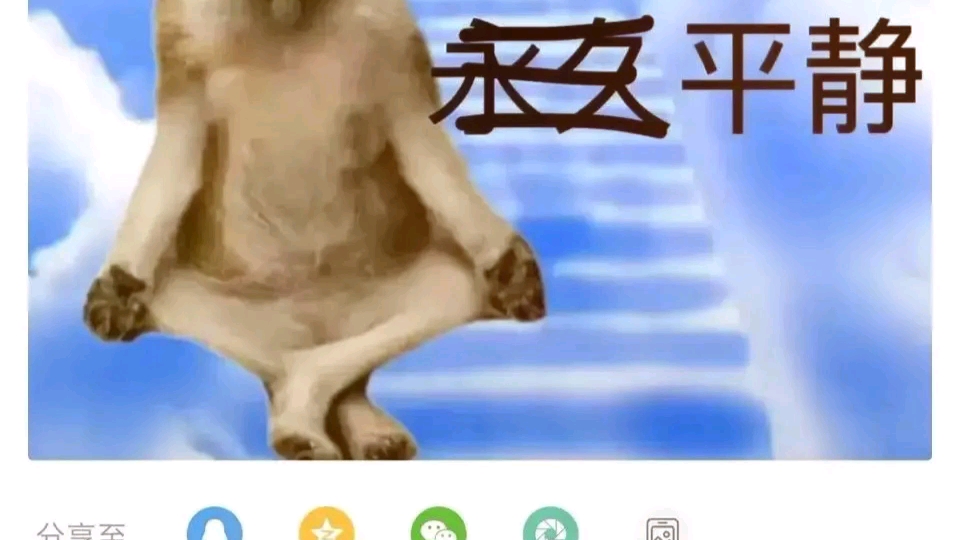 黄狗升天_哔哩哔哩 (゜-゜)つロ 干杯~-bilibili