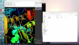 pymol3.1版在windows11下安装与使用