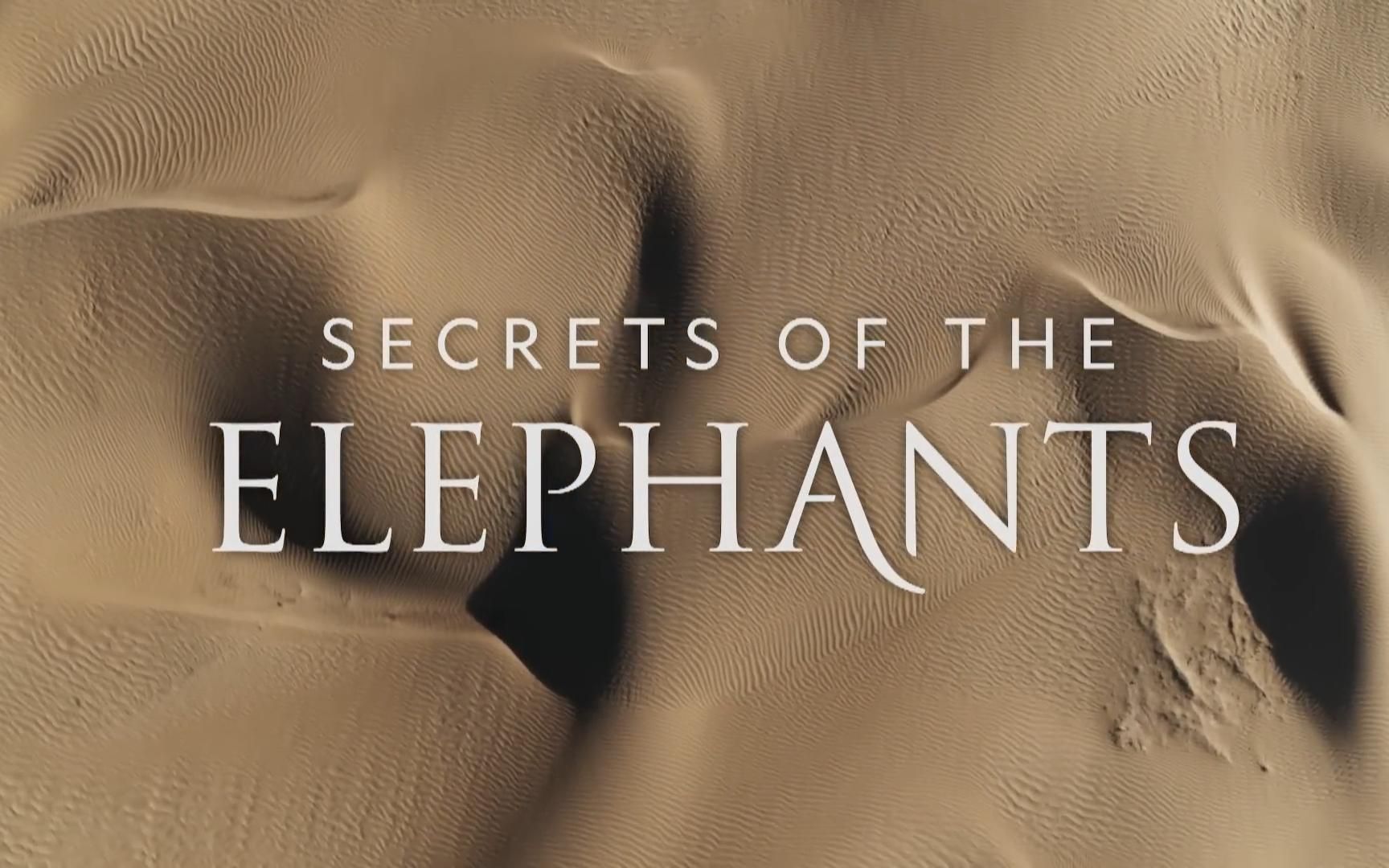 【国家地理】大象的秘密 Secrets of the Elephants哔哩哔哩bilibili