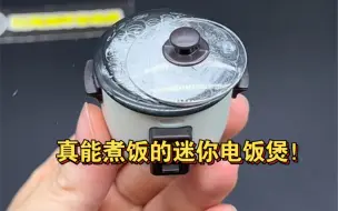 Télécharger la video: 迷你电饭煲居然真的能煮饭！太离谱了吧