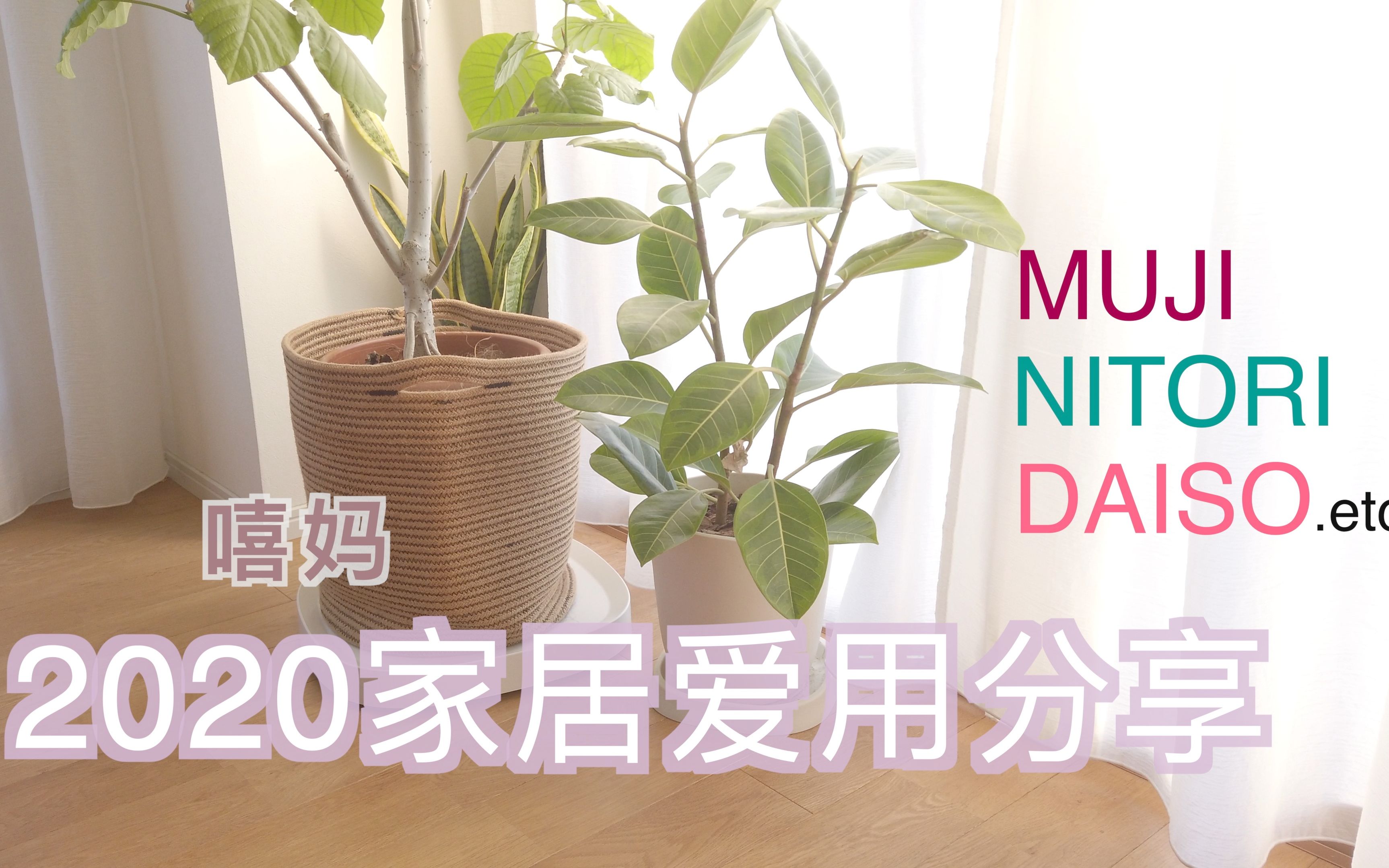 爱用家居小物分享 | 为设计买单 | MUJI 宜得利 DAISO IWAKI .etc哔哩哔哩bilibili