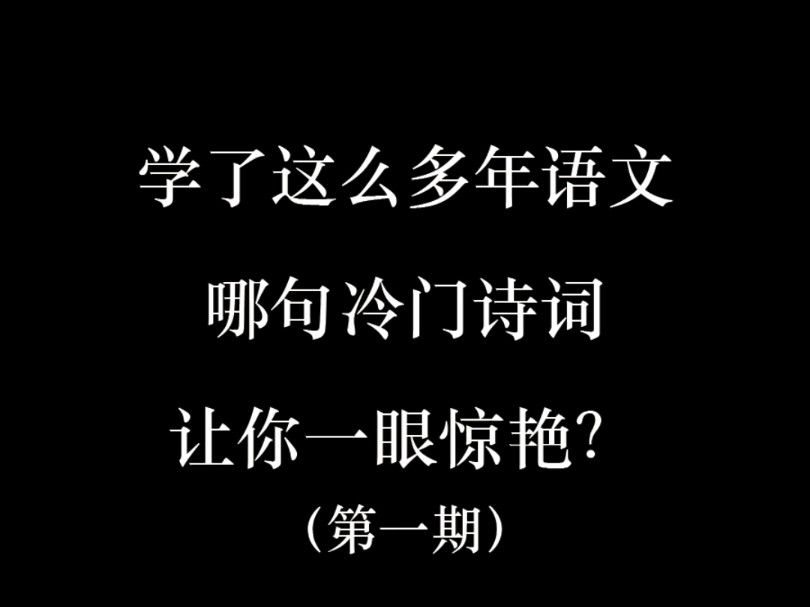 学那么多年语文,哪句冷门诗词让你一眼惊艳?哔哩哔哩bilibili