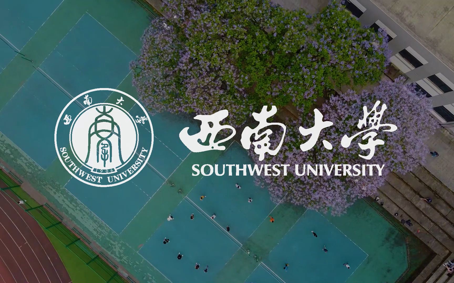 重庆西南大学宣传片图片