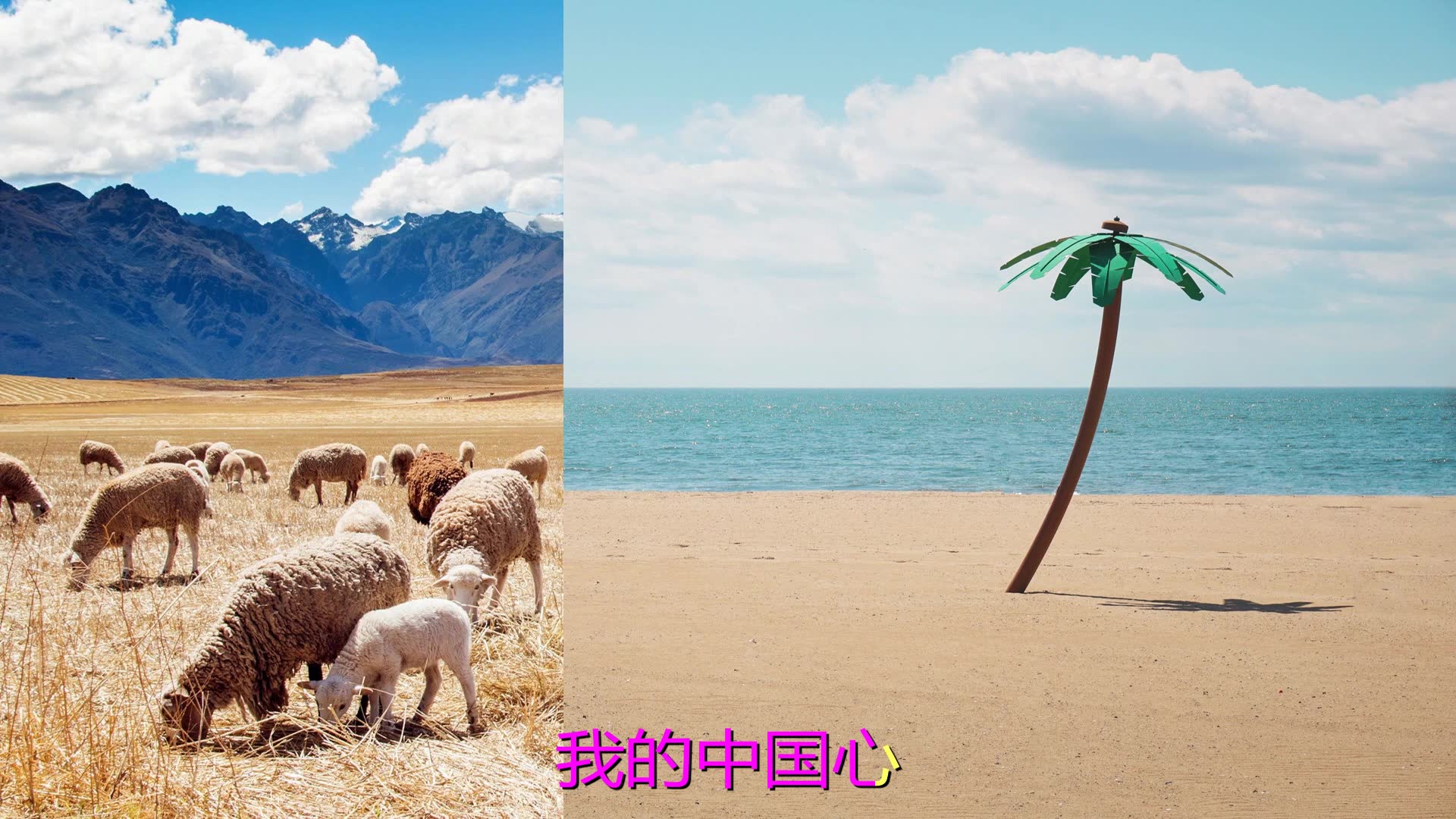 经典老歌《沈小岑-我的中国心》_哔哩哔哩_bilibili