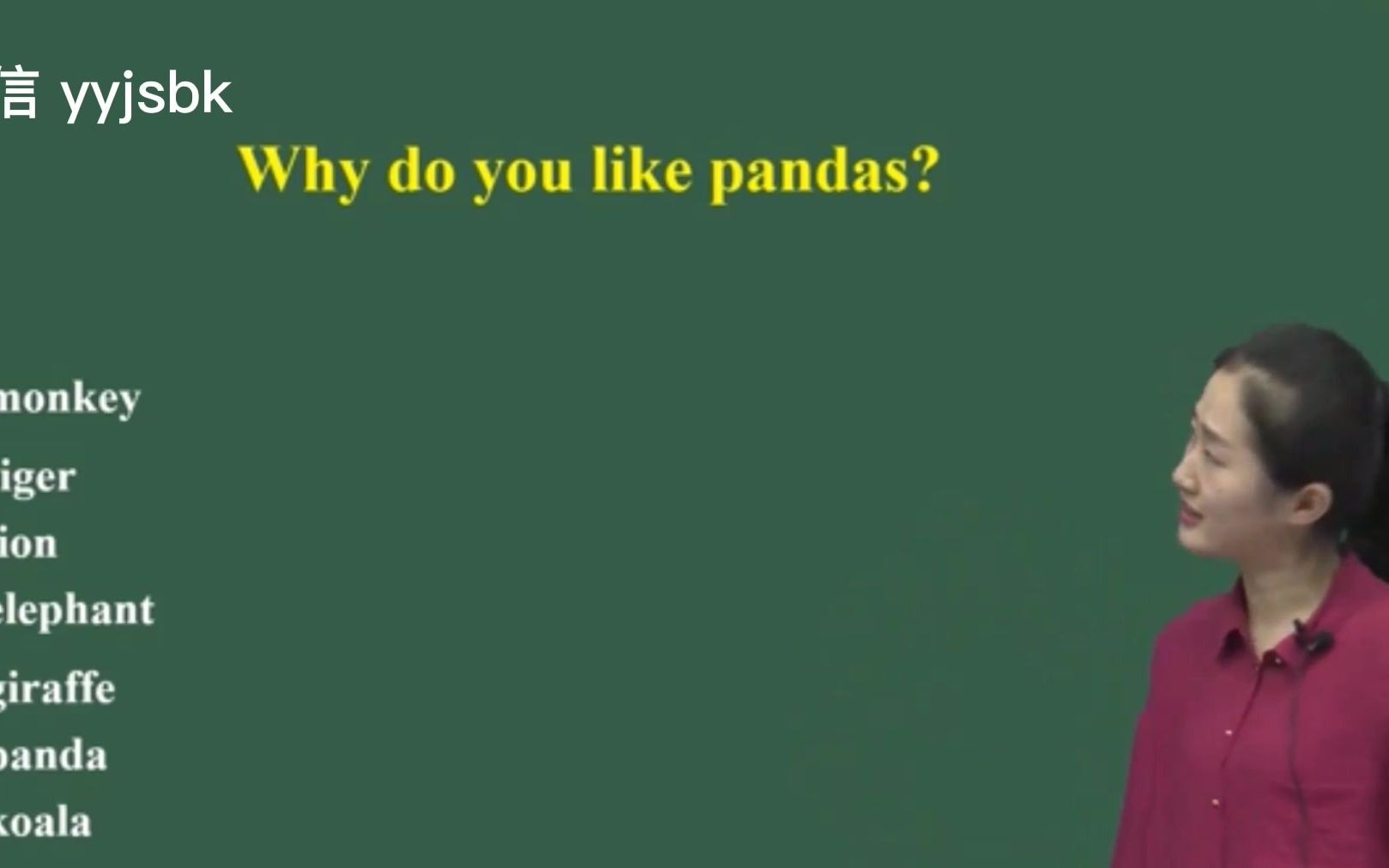 初中英语 无生试讲示范 Why do you like pandas 听说课哔哩哔哩bilibili