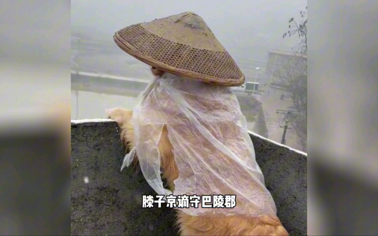 [图]《岳阳楼记》猫子京谪守巴陵郡