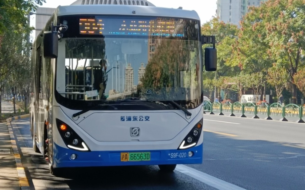 新车首发?上海浦东公交984路s9f运行实录