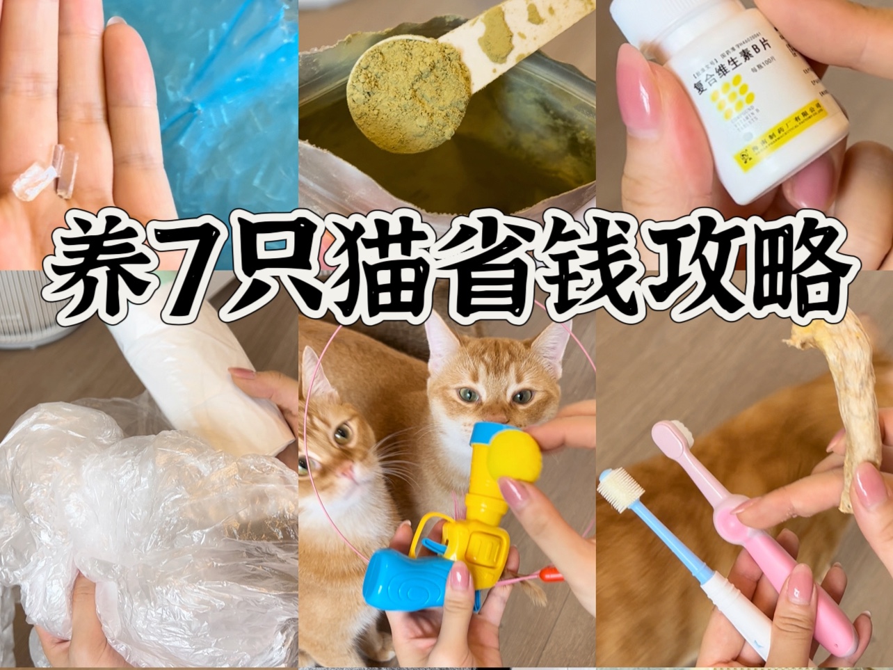 这些年我扣扣搜搜,为我家猫省下了买别墅的钱哔哩哔哩bilibili