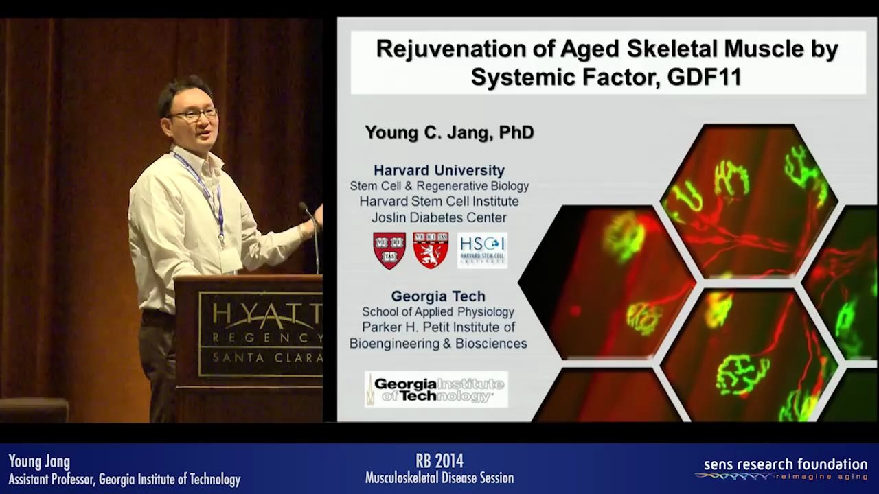 [学术报告] 使衰老的骨骼肌恢复活力的系统性因素(GDF11因子)2014哔哩哔哩bilibili