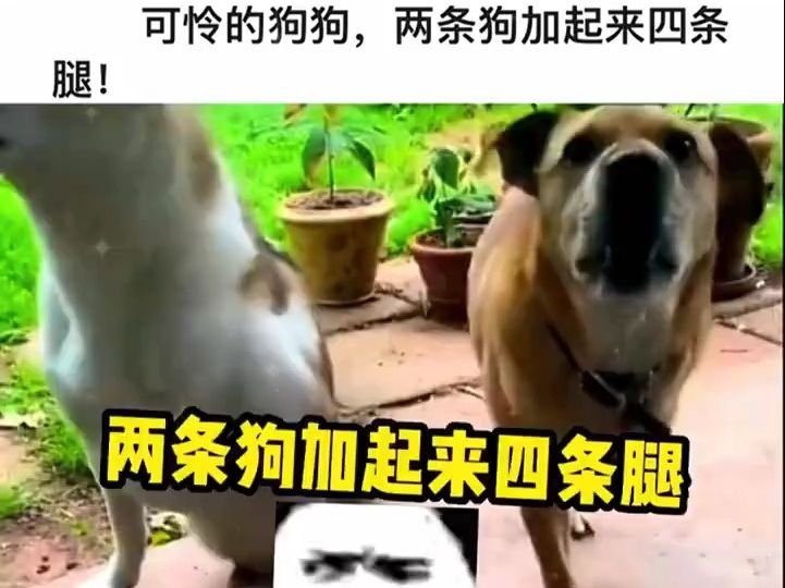 盘点网友们的神评论回复哔哩哔哩bilibili