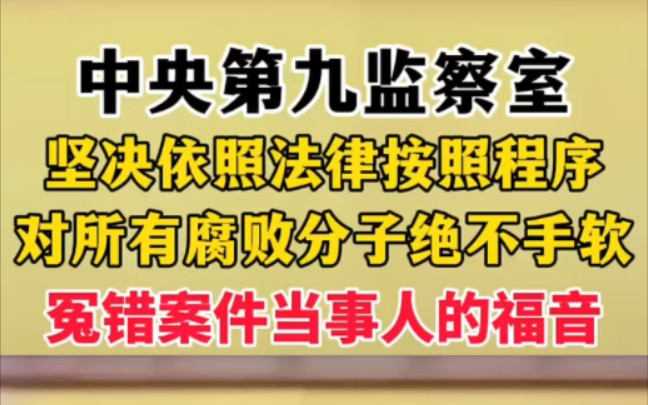 冤假错案当事人的福音,今年是翻案最佳时机! ＂加大力度纠正冤错案件 ＂让人民群众在每一个司法中感受公平正义哔哩哔哩bilibili