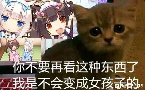 b站视频电脑缓存的一种方法哔哩哔哩bilibili