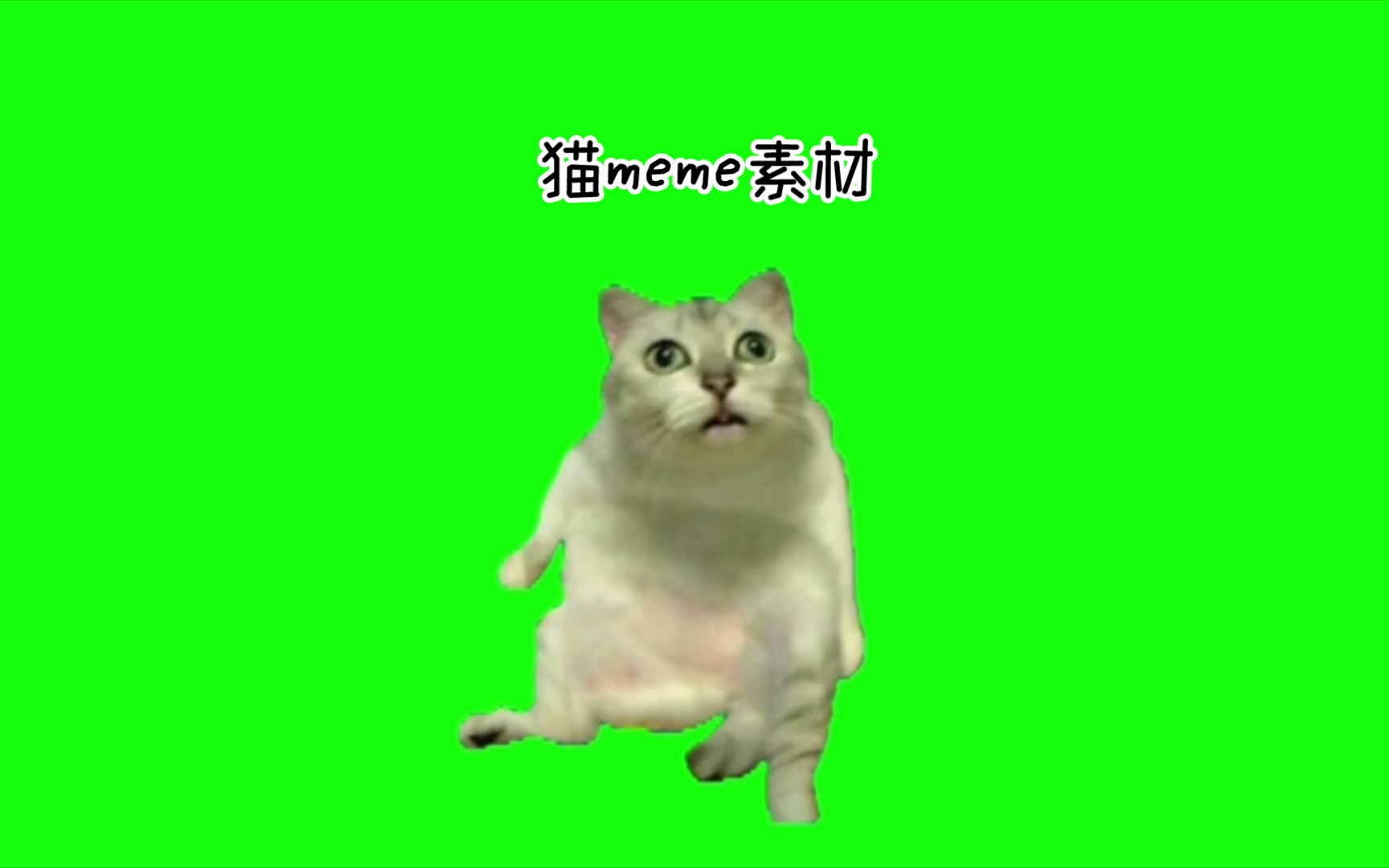 [图]猫meme素材合集