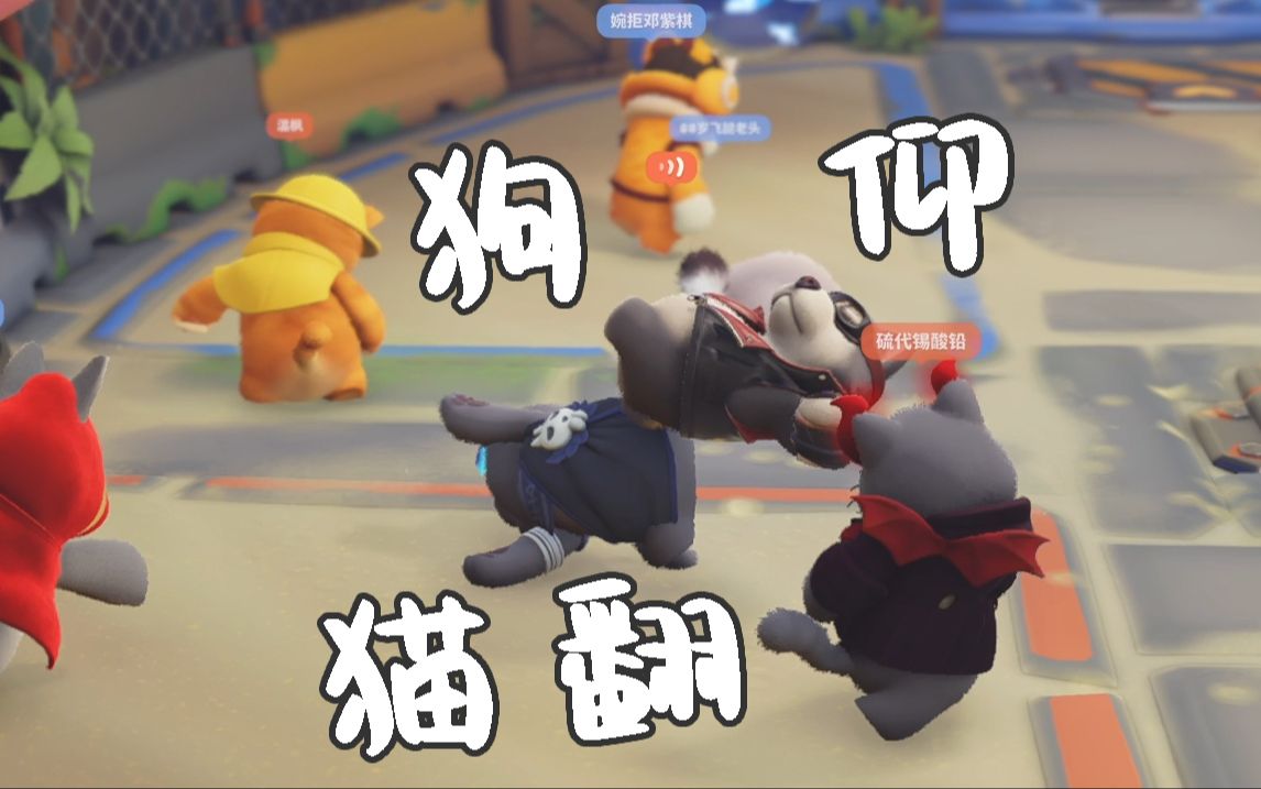 【猛兽派对】后知后觉~赢的是我!