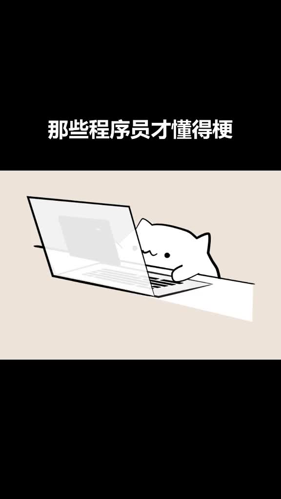 程序员 #程序员日常 还有什么梗呢?