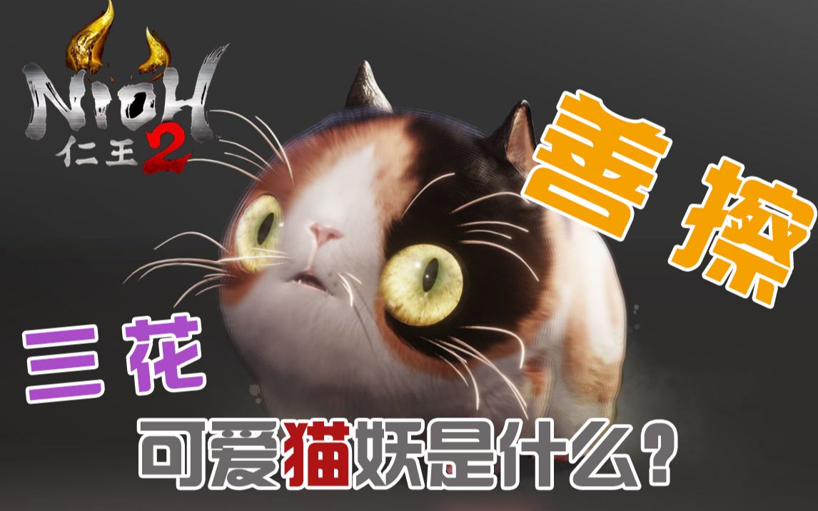 仁王讲堂善擦可爱猫咪可能有着可悲的传说