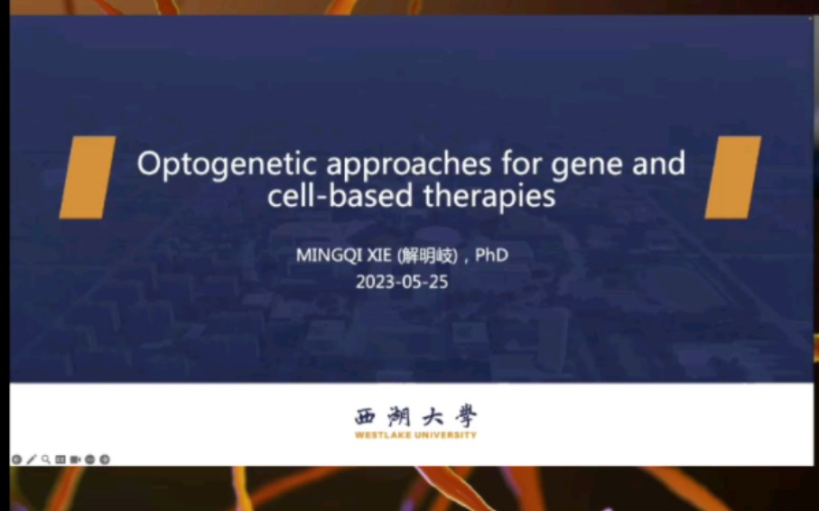 基因和基因的光遗传学方法和细胞疗法——解明岐 西湖大学哔哩哔哩bilibili