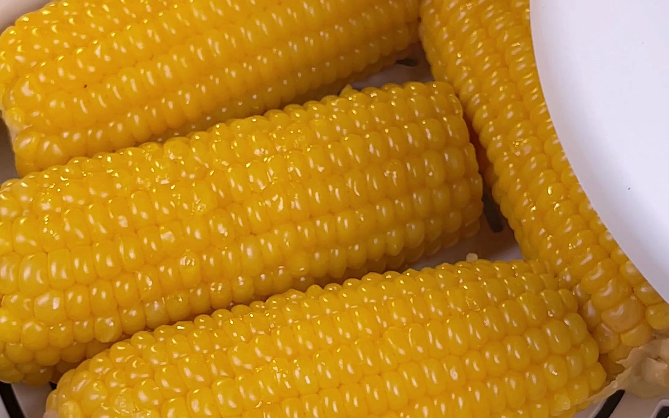 内蒙糯玉米!又嫩又糯!老好吃了!还能拉丝,我们全家都爱吃!