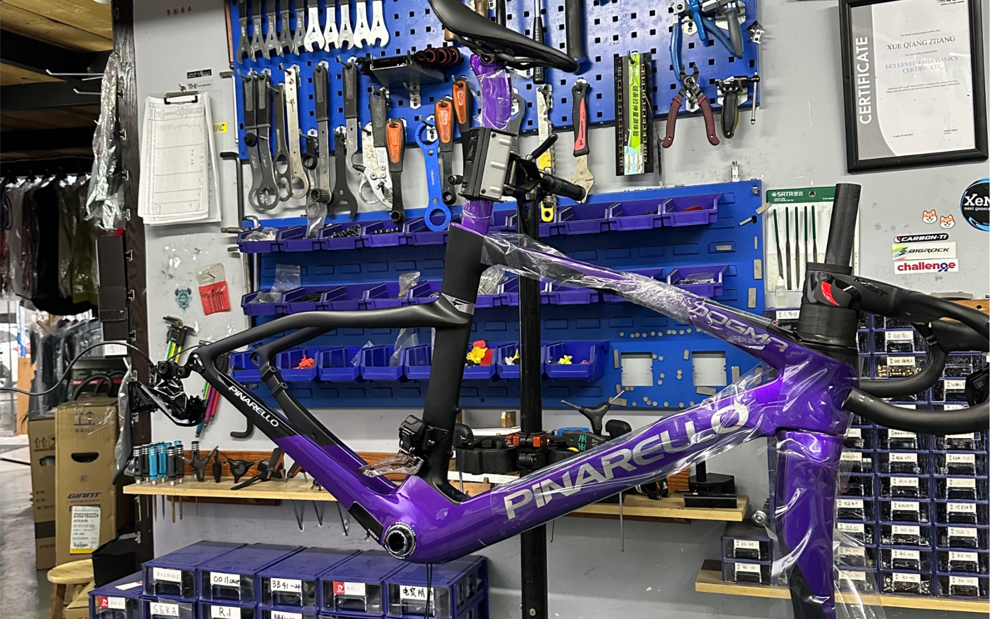 沉浸式体验公路车组装.pinarello dogma f电镀紫.