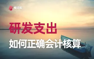 下载视频: 研发支出会计核算