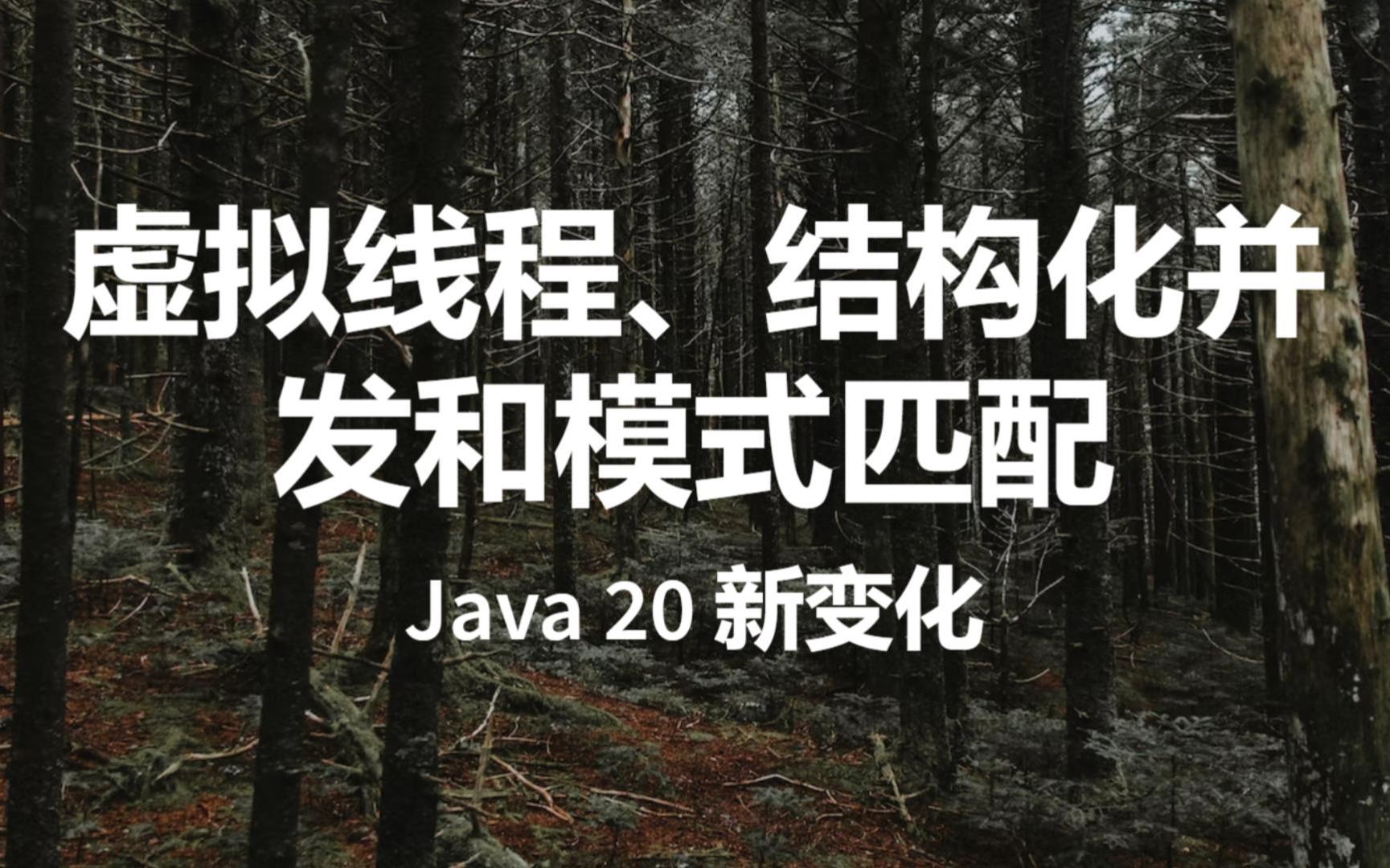 Java 20 的其他新变化,虚拟线程,结构化并发和模式匹配哔哩哔哩bilibili