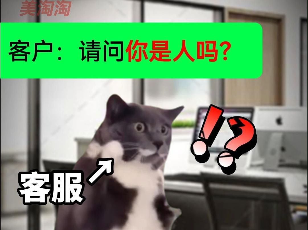 【猫meme】国际物流客户:“请问你是人吗?”哔哩哔哩bilibili