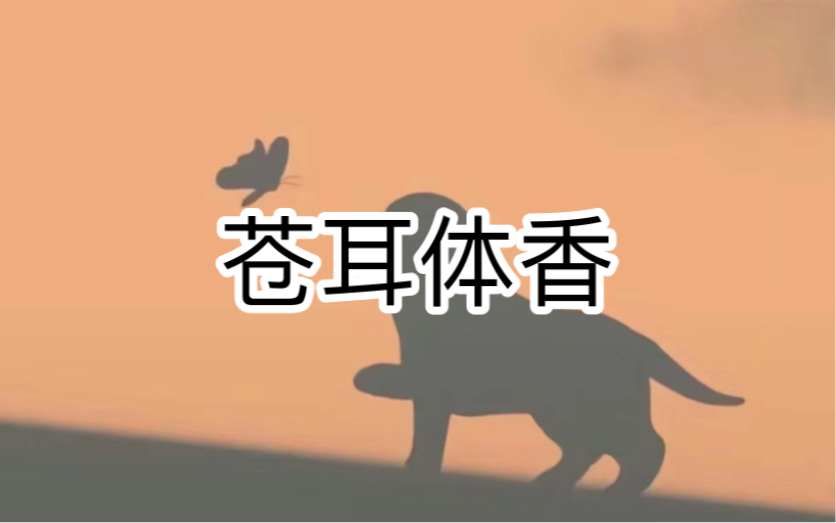 【苍耳体香】后|续~老,福,特#解压#小说推荐哔哩哔哩bilibili