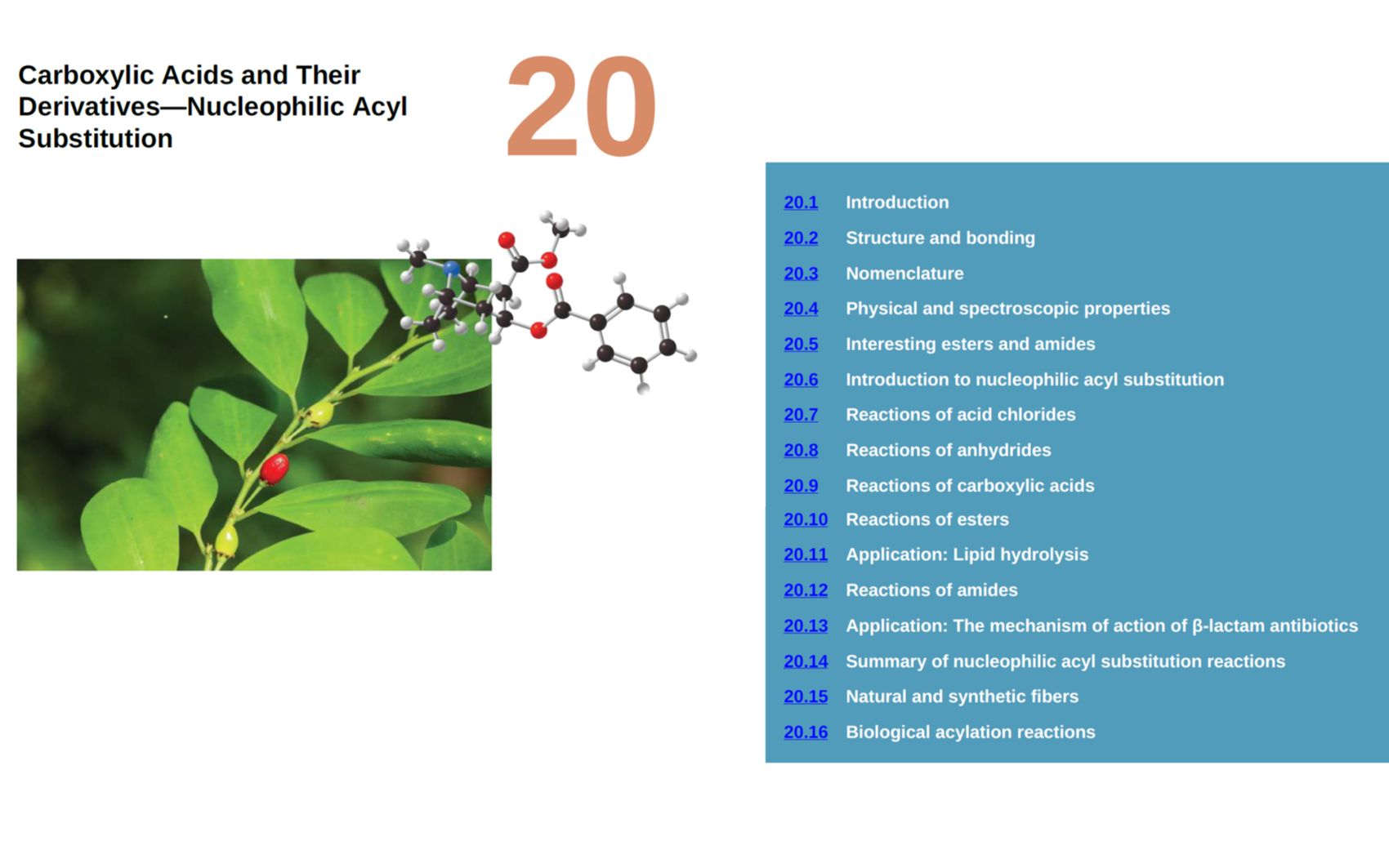 Organic Chemistry  Part 22 从零学有机化学(英文教材)哔哩哔哩bilibili