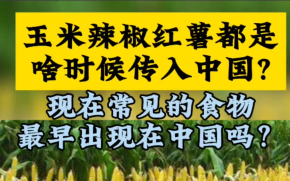 你知道玉米辣椒红薯,都是啥时候传入中国吗?中国世界文化1000问.#历史文化哔哩哔哩bilibili