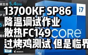 Скачать видео: 13700KF SP86 降温调试作业 散热FC149 过烤鸡测试 但是临界