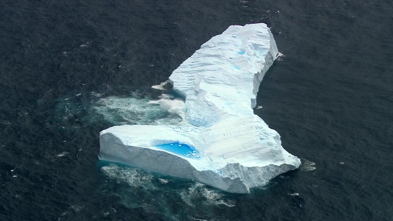 [图]【绝美自然】海洋之歌，壮美无边|海洋生物群像混剪，用海洋治愈孤寂灵魂|原创