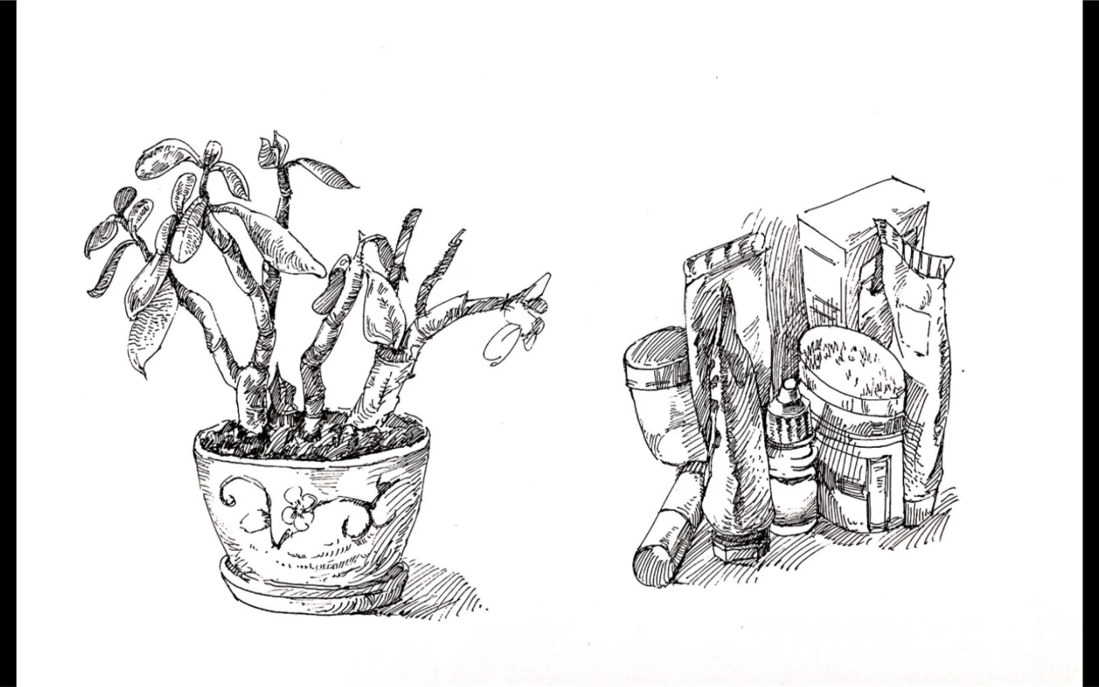速写基础植物画法2,速来收藏