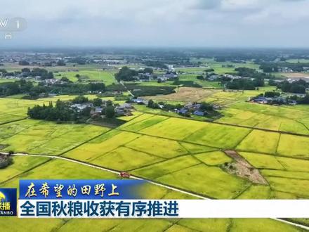 【我国秋粮收获进度已过三成】 【  】眼下，全国秋粮陆续迎来收获，主产区多举措提升抢收效率，确保粮食颗粒归仓。农业农村部最新农情调度显示