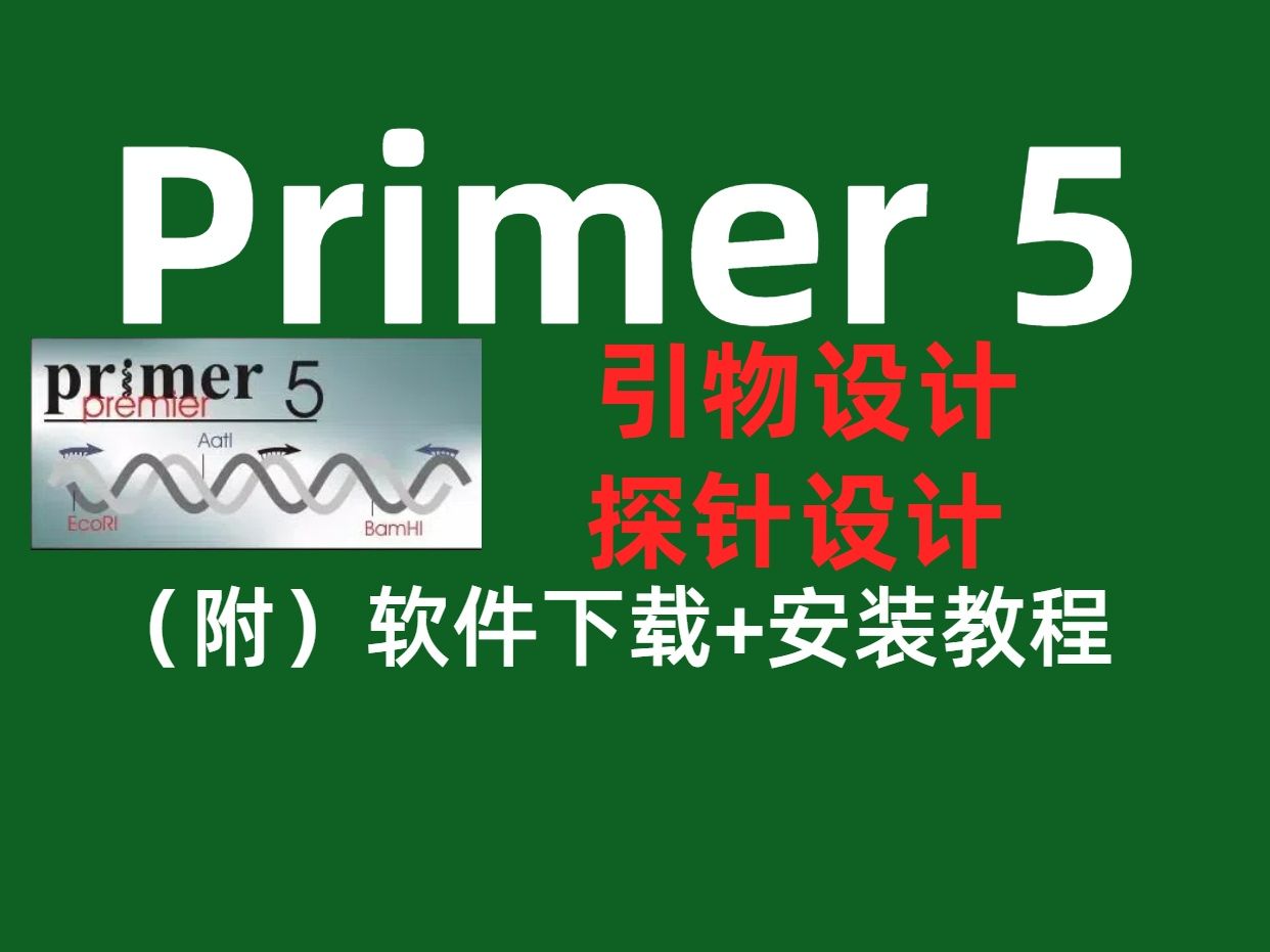 Primer 5【PCR和qPCR引物设计】安装教程哔哩哔哩bilibili