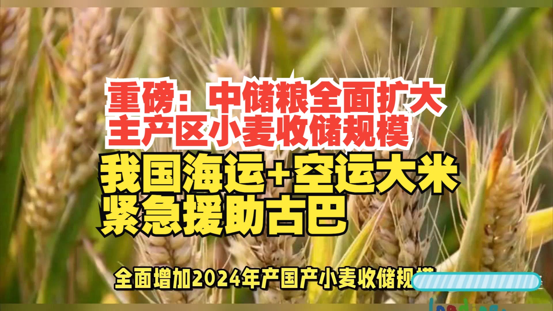 中储粮紧急发布新产小麦增收公告保障农户种粮收益;韩国继续加大国际粮源采购,面对供应短缺问题,粮食进口国和出口国采取了截然不同的策略哔哩哔...