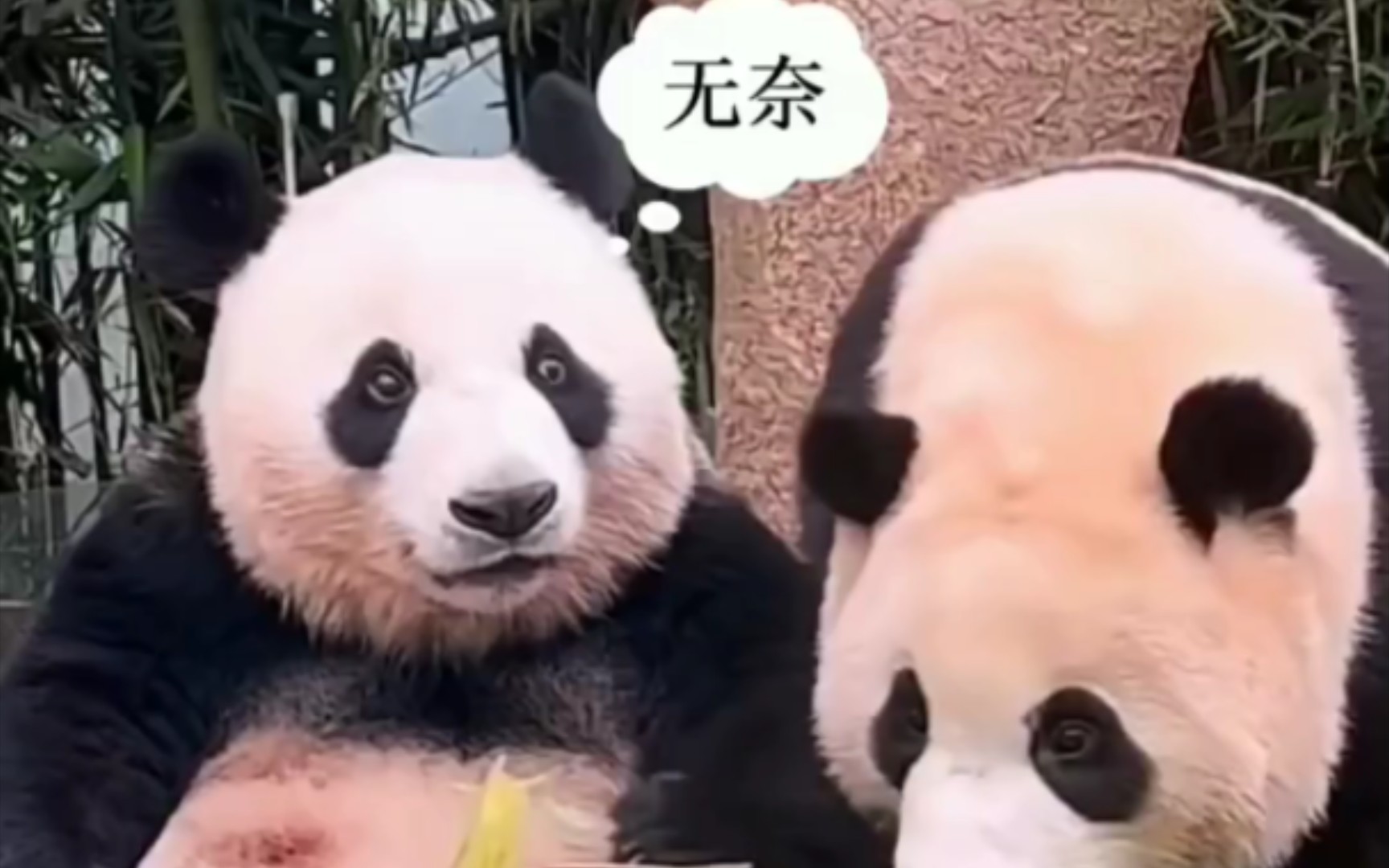 熊猫头无奈叹气表情包图片