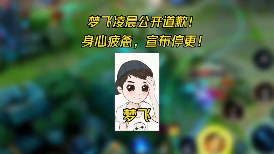 梦飞凌晨公开道歉!身心疲惫,宣布停更!哔哩哔哩bilibili