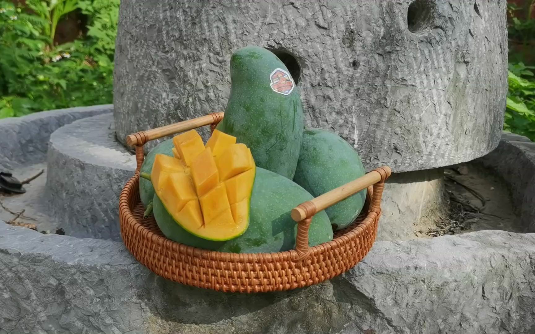 雷三姨正宗广西百色田东桂七芒果山坡红土种植香气独特味甜如蜜