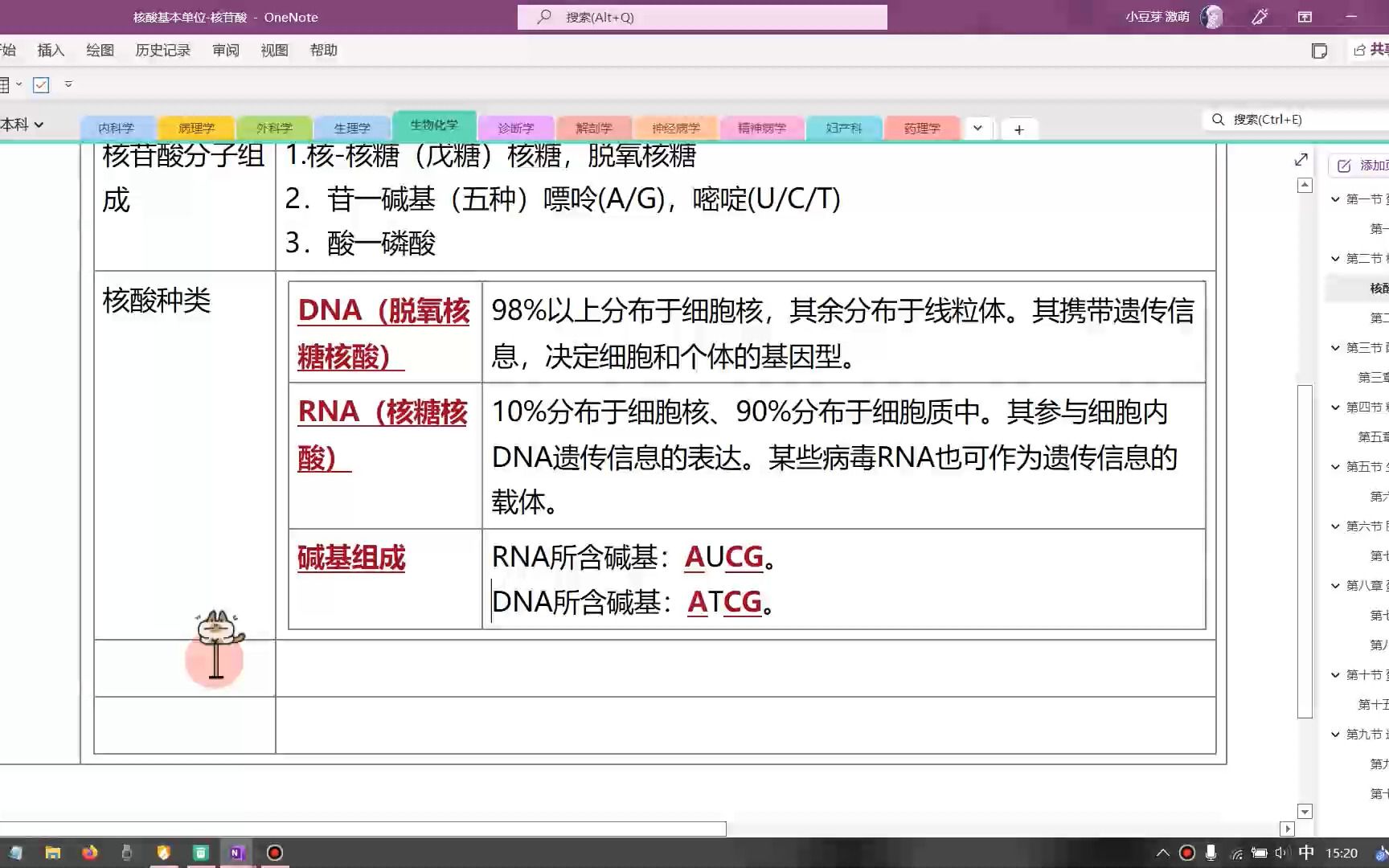 医学生onenote原倍速整理笔记【来听键盘的声音】哔哩哔哩bilibili