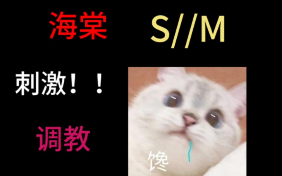 sm,刺激调教哔哩哔哩bilibili