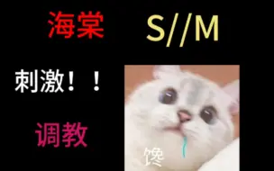 Tải video: sm，刺激调教