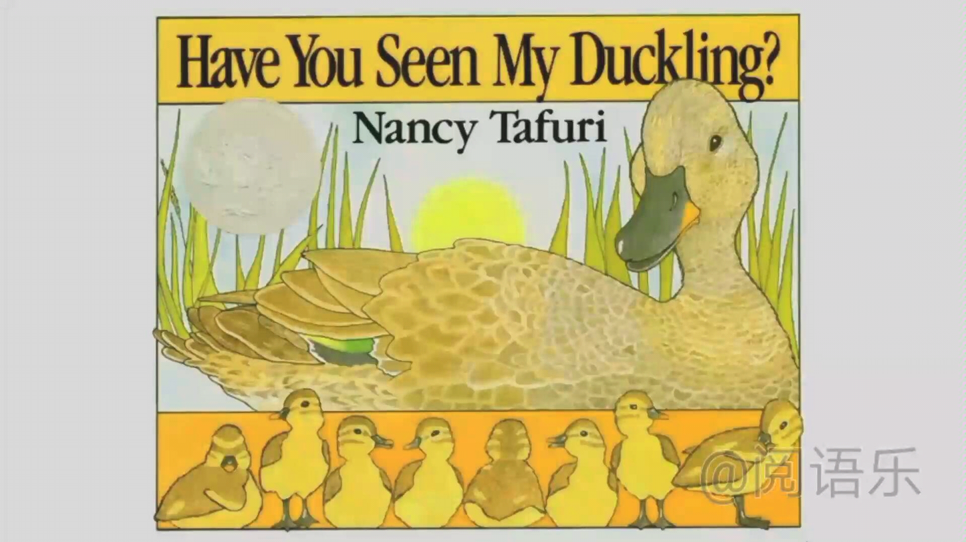 【英语绘本双语解读】Have You Seen My Duckling? 你看到我的小鸭了吗?/Nancy Tafuri哔哩哔哩bilibili